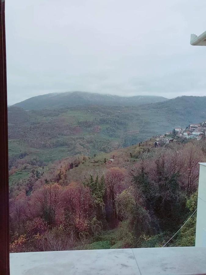 Evridiki Hotel Zagora Exterior foto